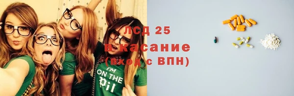 прущие грибы Магас
