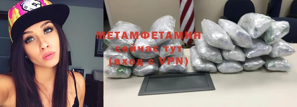 прущие грибы Магас