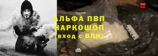 прущие грибы Магас