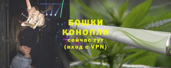 прущие грибы Магас