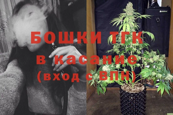 прущие грибы Магас