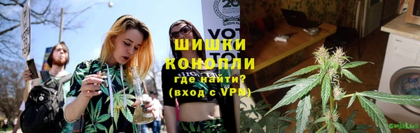 прущие грибы Магас