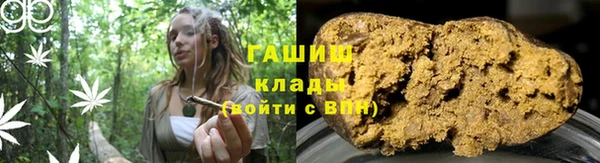 прущие грибы Магас
