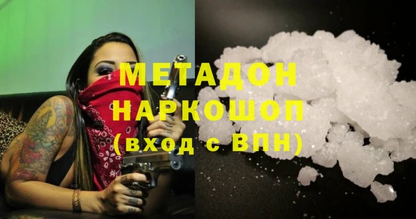 прущие грибы Магас