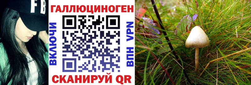наркошоп  Яранск  Галлюциногенные грибы Psilocybine cubensis 